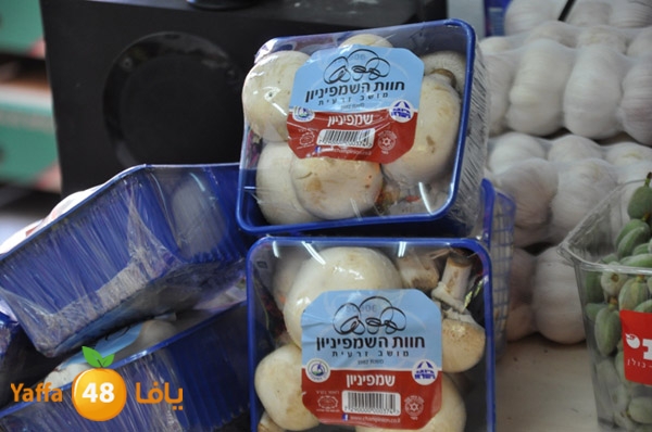 markaz khodare 3 (8).JPG